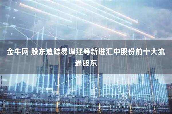 金牛网 股东追踪易谋建等新进汇中股份前十大流通股东